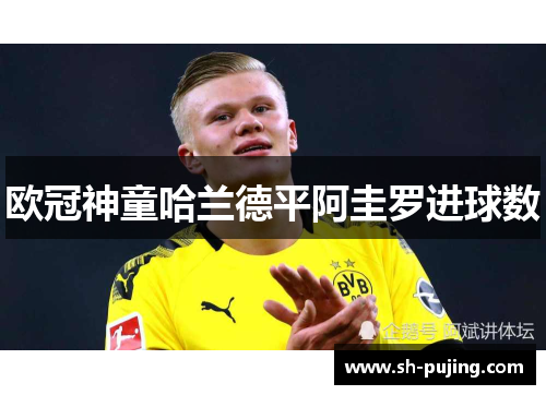 欧冠神童哈兰德平阿圭罗进球数